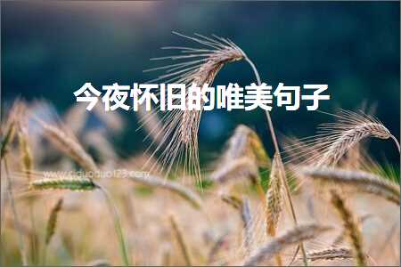 韪忕鐨勫彞瀛愮煭鍙ュ敮缇庯紙鏂囨451鏉★級