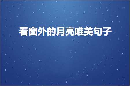 森林摄影风唯美句子（文案251条）