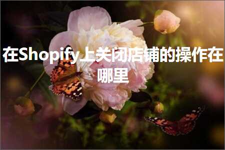 跨境电商知识:在Shopify上关闭店铺的操作在哪里