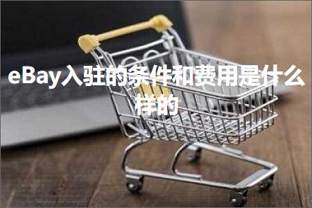 跨境电商知识:eBay入驻的条件和费用是什么样的