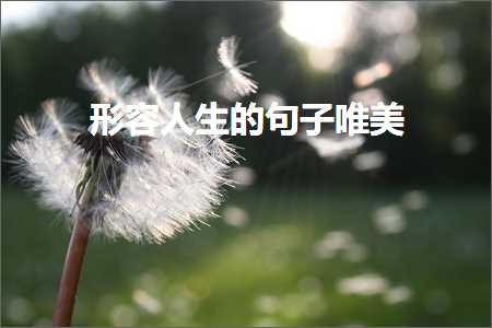 鍐欑墽缇婁汉鐨勫敮缇庡彞瀛愶紙鏂囨742鏉★級