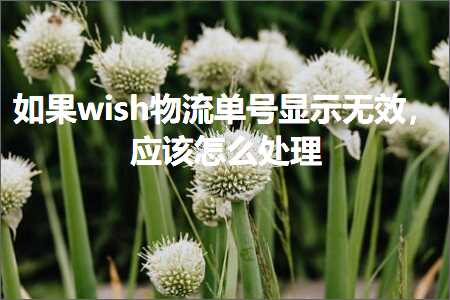 璺ㄥ鐢靛晢鐭ヨ瘑:濡傛灉wish鐗╂祦鍗曞彿鏄剧ず鏃犳晥锛屽簲璇ユ€庝箞澶勭悊