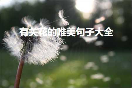 鍏充簬鐝嶆儨褰撲笅鐨勫敮缇庡彞瀛愶紙鏂囨522鏉★級