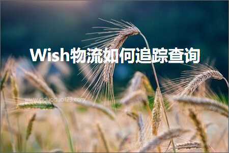 璺ㄥ鐢靛晢鐭ヨ瘑:Wish鐗╂祦濡備綍杩借釜鏌ヨ