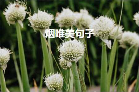 鐑熷敮缇庡彞瀛愶紙鏂囨676鏉★級