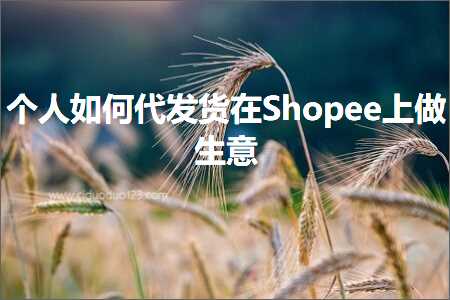 璺ㄥ鐢靛晢鐭ヨ瘑:涓汉濡備綍浠ｅ彂璐у湪Shopee涓婂仛鐢熸剰